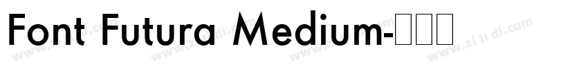 Font Futura Medium字体转换